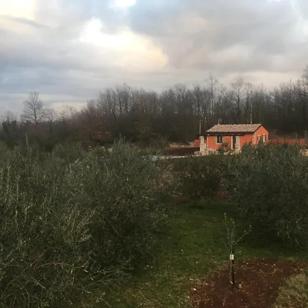 Apartman House In Nature *