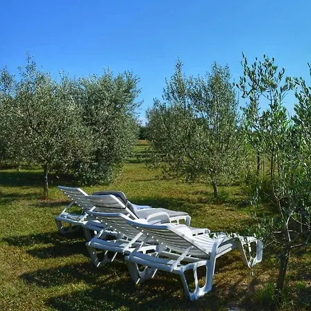 House In Nature Tinjan