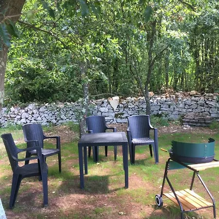 House In Nature