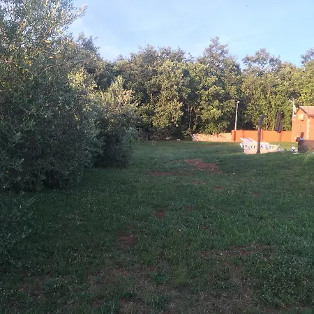 House In Nature * Tinjan