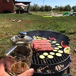 House In Nature